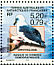 Atlantic Yellow-nosed Albatross Thalassarche chlororhynchos  2000 Demographic data Strip