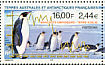 Emperor Penguin Aptenodytes forsteri