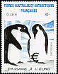 Emperor Penguin Aptenodytes forsteri