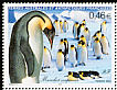 Emperor Penguin Aptenodytes forsteri  2003 Emperor Penguin 