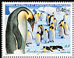 Emperor Penguin Aptenodytes forsteri