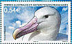 Snowy Albatross Diomedea exulans