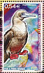 Red-footed Booby Sula sula  2008 Birds Sheet
