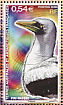 Masked Booby Sula dactylatra  2008 Birds Sheet