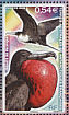 Great Frigatebird Fregata minor  2008 Birds Sheet