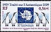 King Penguin Aptenodytes patagonicus  2009 Antarctic treaty 50 years 
