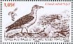 Southern Fulmar Fulmarus glacialoides  2014 Southern seabirds Sheet