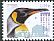 King Penguin Aptenodytes patagonicus  2018 Penguins 