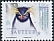 Southern Rockhopper Penguin Eudyptes chrysocome  2019 Penguins 