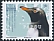 Gentoo Penguin Pygoscelis papua