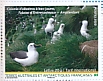 Atlantic Yellow-nosed Albatross Thalassarche chlororhynchos  2020 World heritage site Booklet