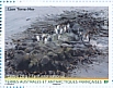 King Penguin Aptenodytes patagonicus  2020 World heritage site Booklet