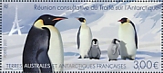 Emperor Penguin Aptenodytes forsteri  2021 Antarctic treaty  MS