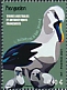 Atlantic Yellow-nosed Albatross Thalassarche chlororhynchos  2021 Les TAAF en graph 5v set