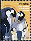 Emperor Penguin Aptenodytes forsteri  2021 Les TAAF en graph 5v set