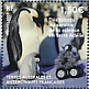 Emperor Penguin Aptenodytes forsteri  2022 Robots helping science  MS