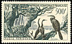 African Darter Anhinga rufa  1953 Air 