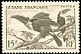 White-throated Toucan Ramphastos tucanus  1947 Definitives 