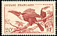 White-throated Toucan Ramphastos tucanus  1947 Definitives 