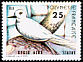 White Tern Gygis alba