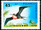 Great Frigatebird Fregata minor