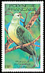 Grey-green Fruit Dove Ptilinopus purpuratus  1981 Birds 