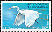 Pacific Reef Heron Egretta sacra  1982 Birds 