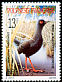 Spotless Crake Zapornia tabuensis  1990 Birds 