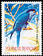 Ultramarine Lorikeet Vini ultramarina  1990 Birds 