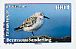 Sanderling Calidris alba  2010 Birds of Polynesia Booklet, sa