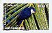 Blue Lorikeet Vini peruviana  2010 Birds of Polynesia Booklet, sa