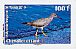 Wandering Tattler Tringa incana  2010 Birds of Polynesia Booklet, sa