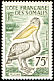 Pink-backed Pelican Pelecanus rufescens  1960 Definitives 