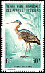 Purple Heron Ardea purpurea  1975 Birds 