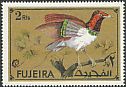 King Bird-of-paradise Cicinnurus regius  1971 Tropical birds 