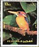 African Pygmy Kingfisher Ispidina picta