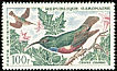 Johanna's Sunbird Cinnyris johannae  1963 Birds 