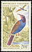 Blue-headed Bee-eater Merops muelleri  1963 Birds 