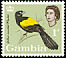 Yellow-mantled Widowbird Euplectes macroura  1963 Birds 