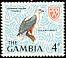 African Fish Eagle Haliaeetus vocifer  1966 Birds 