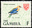 Blue-bellied Roller Coracias cyanogaster  1966 Birds 