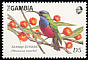 Superb Sunbird Cinnyris superbus  1989 West African birds 