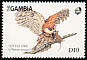 Pearl-spotted Owlet Glaucidium perlatum  1989 West African birds 