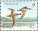 White-faced Whistling Duck Dendrocygna viduata  1990 African birds Sheet