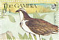 Western Osprey Pandion haliaetus  1991 Wildlife 16v sheet