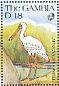 African Spoonbill Platalea alba  1991 Wildlife  MS