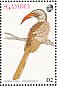 Northern Red-billed Hornbill Tockus erythrorhynchus  1993 Birds of Africa Sheet