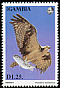 Western Osprey Pandion haliaetus  1993 African birds of prey 