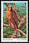 Greater Kestrel Falco rupicoloides  1993 African birds of prey 