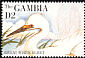 Great Egret Ardea alba  1995 Birds 